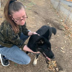 Meet your Posher, Jordan